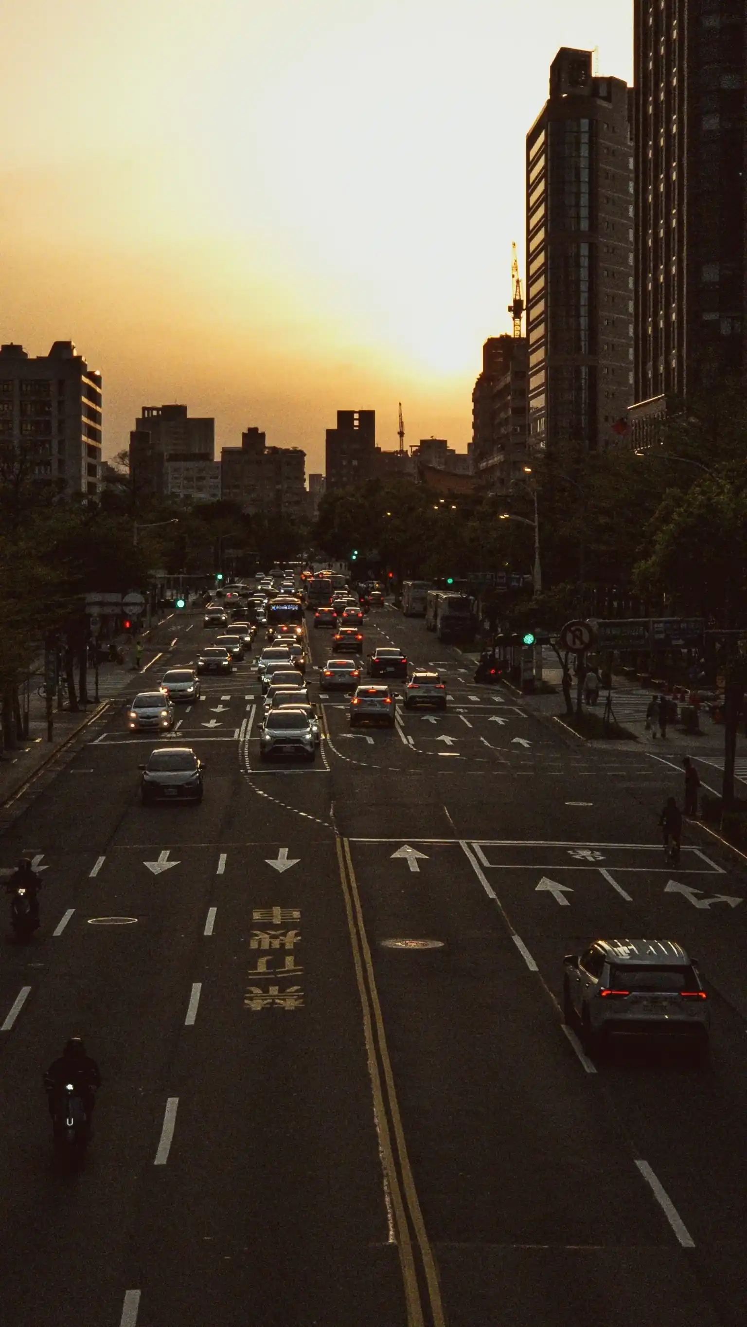 Line Photo 8